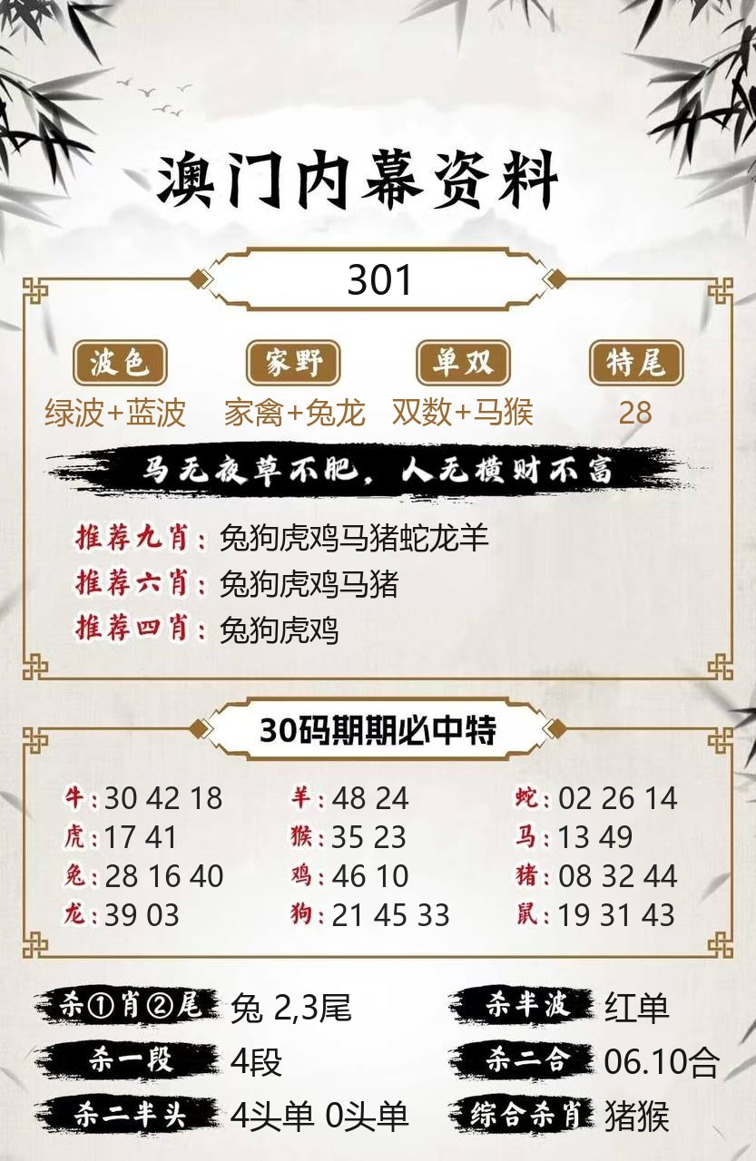 新澳乐彩内幕资料模板
